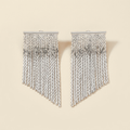 Fringe Tassel Earrings - silver color