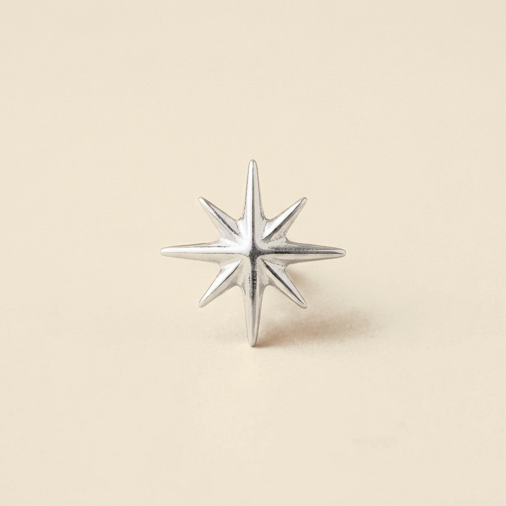 Mini Star Stud Earrings - silver color